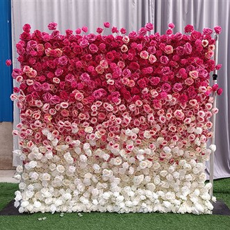 Wal Blodau Rhosyn Cefndir